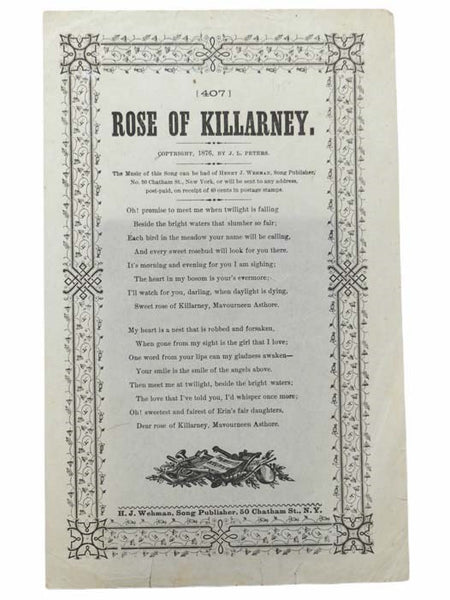 Rose of Killarney
