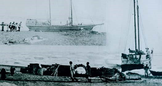 The Friendly Arctic: The Story of Five Years in Polar Regions