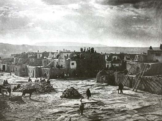 The Art of Edward S. Curtis: Photographs from The North American Indian