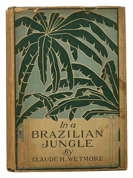 In a Brazilian Jungle: Being a Story of Adventure, with an Insight into Brazilian Life and Industries