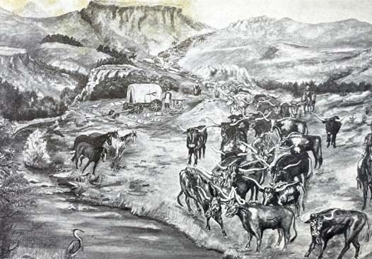 Riding the High Country