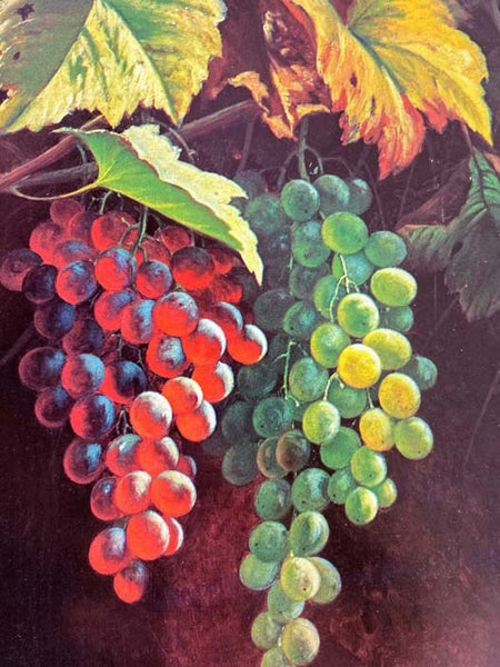 American Still-Life Painting (American Art & Artists)