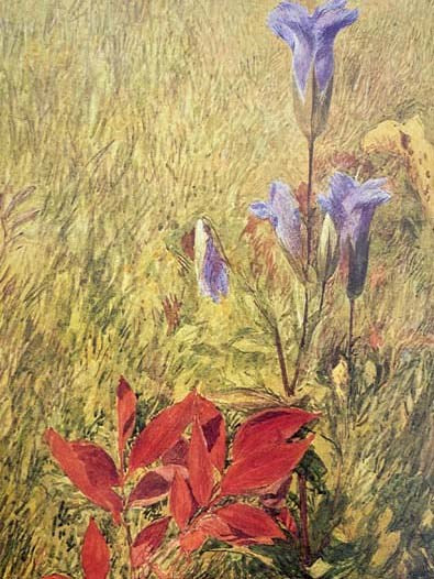 The New Path: Ruskin and the American Pre-Raphaelites