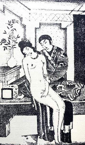 The Chinese Decameron, Now First Rendered into English