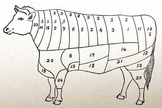 The Art of Cookery: A Manual for Homes and Schools