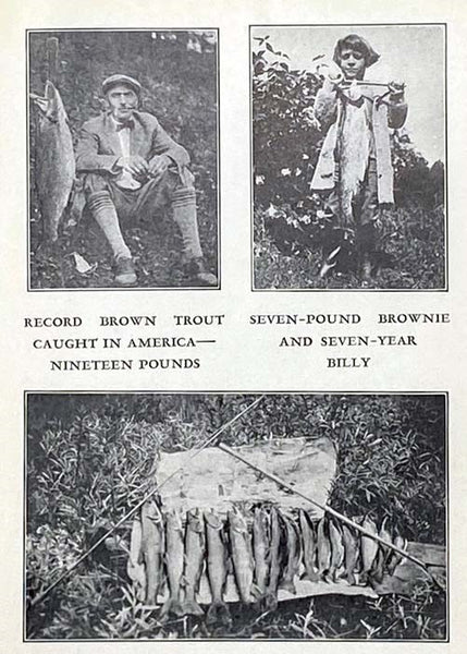 Angling: Recollections and Practice