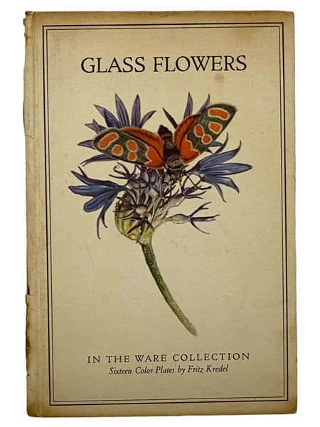 Glass Flowers in the Ware Collection in the Botanical Museum of Harvard University (Insect Pollination Series)