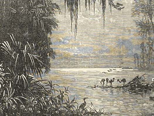 The Knockabout Club in the Everglades: The Adventures of the Club in Exploring Lake Okechobee (Book 4)