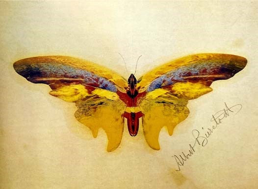 Albert Bierstadt: Painter of the American West