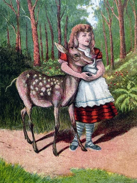Through the Looking-Glass, and What Alice Found There.
