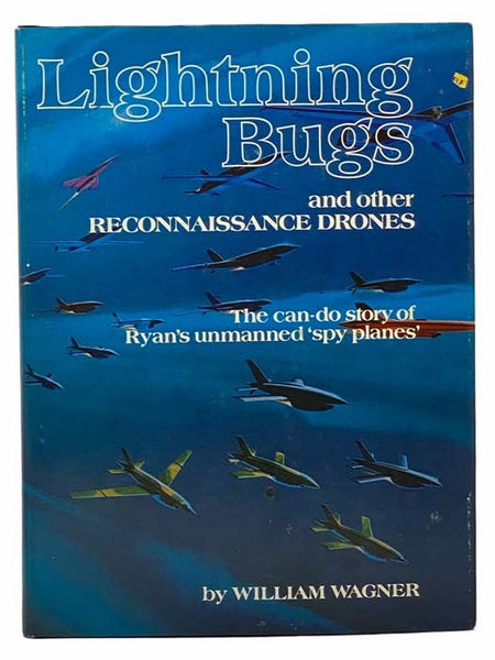 Lightning Bugs and Other Reconnaissance Drones