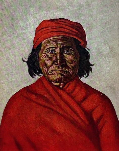 Apache Agent: The Story of John P. Clum