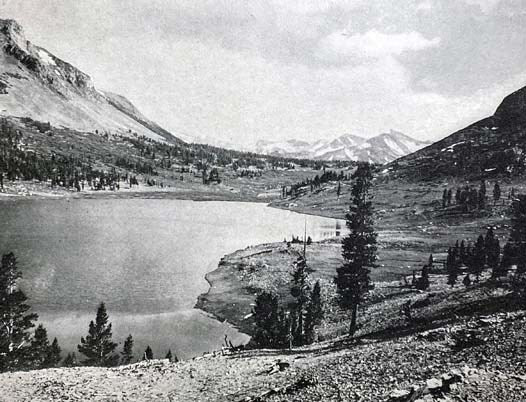 The Yosemite