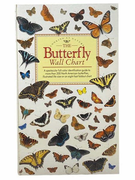 North American Butterflies (Looking At Nature) [The Butterfly Wall Chart]