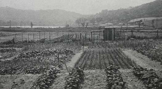 The War Garden Victorious, Illustrated [with] TLS from Author to Eastman Kodak Secretary