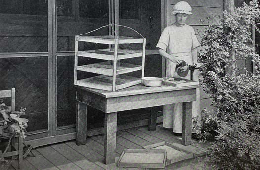 The War Garden Victorious, Illustrated [with] TLS from Author to Eastman Kodak Secretary