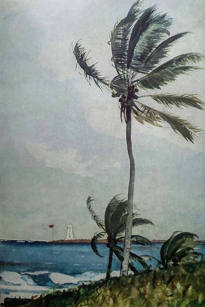 Winslow Homer, American Artist: His World and His Work