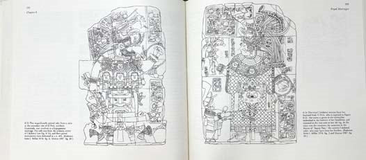 Mesoamerican Writing Systems: Propaganda, Myth, and History in Four Ancient Civilizations
