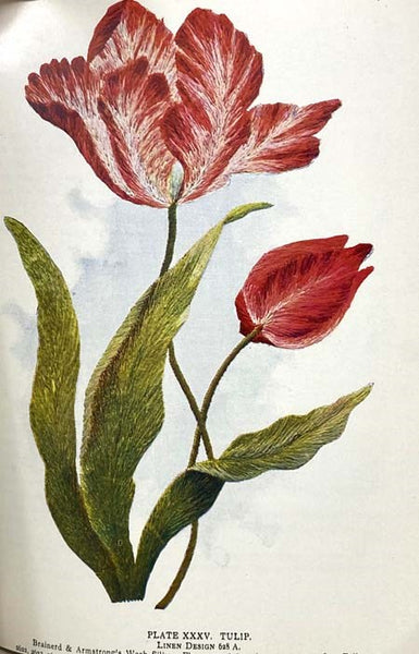 Embroidery Lessons with Colored Studies, 1899: Latest and Most Complete Book on the Subject of Silk Embroidery and Popular Fancy Work