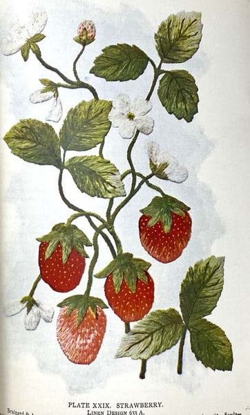 Embroidery Lessons with Colored Studies, 1899: Latest and Most Complete Book on the Subject of Silk Embroidery and Popular Fancy Work