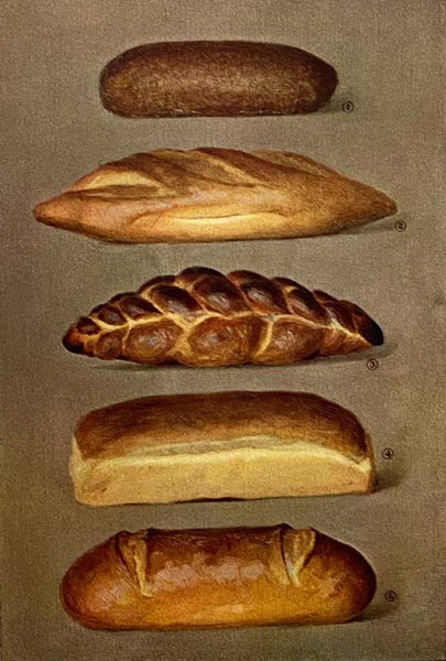 The Grocer's Encyclopedia: A Compendium of Useful Information Concerning Foods of All Kinds. How They are Raised, Prepared and Marketed. How to Care for Them in the Store and Home. How Best to Use and Enjoy Them--and Other Valuable Information for Grocer…