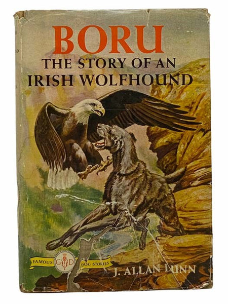 Boru: The Story of an Irish Wolfhound (Famous Dog Stories)