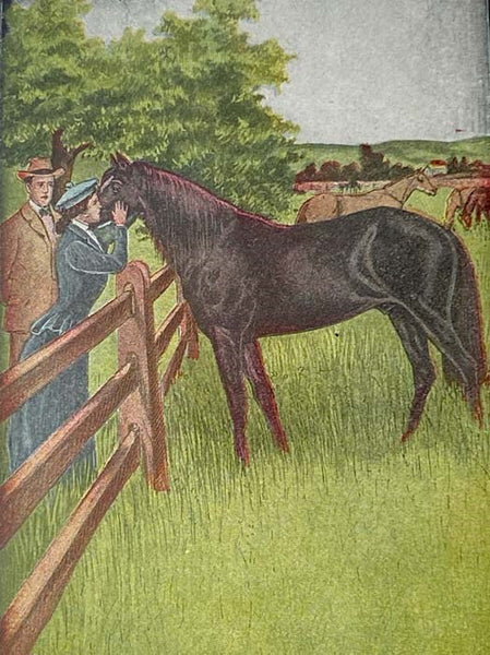 Black Beauty: The Autobiography of a Horse