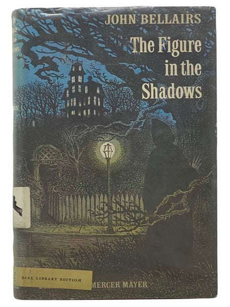 The Figure in the Shadows