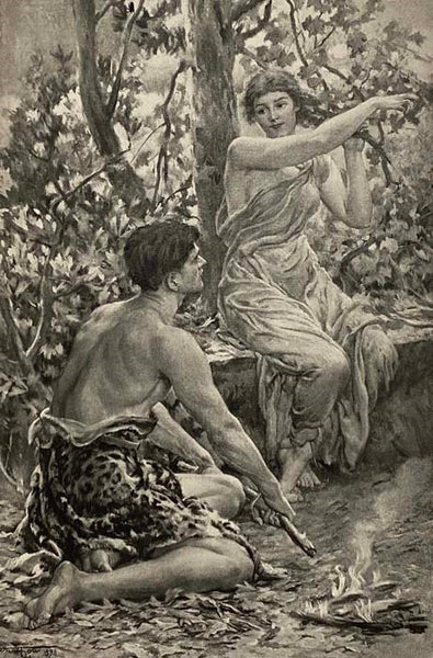 In the Forest of Arden