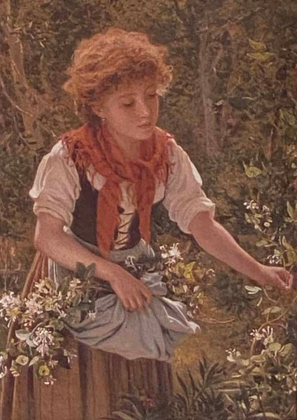 A Victorian Posy: Penhaligon's Scented Treasury of Verse and Prose
