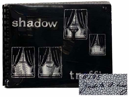 Shadow Traffic