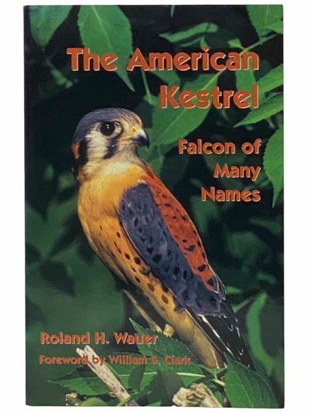 The American Kestrel: Falcon of Many Names