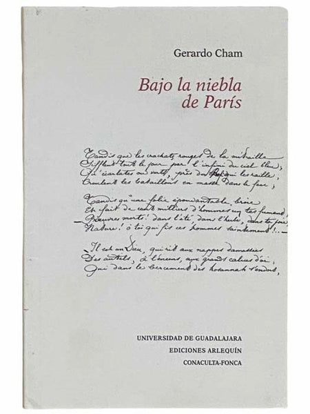 Bajo la Niebla de Paris [Under the Mist of Paris] [SPANISH TEXT]