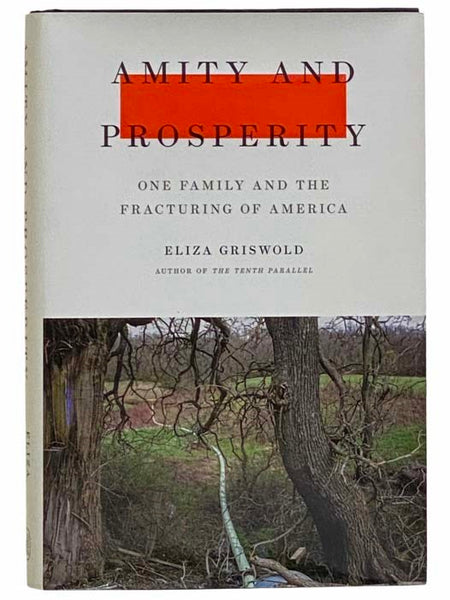 Amity and Prosperity: One Family and the Fracturing of America