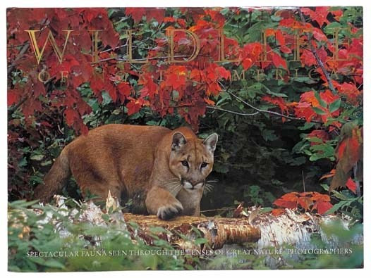 Wildlife of North America: Spectacular Fauna Seen through the Lenses of Great Nature Photographers