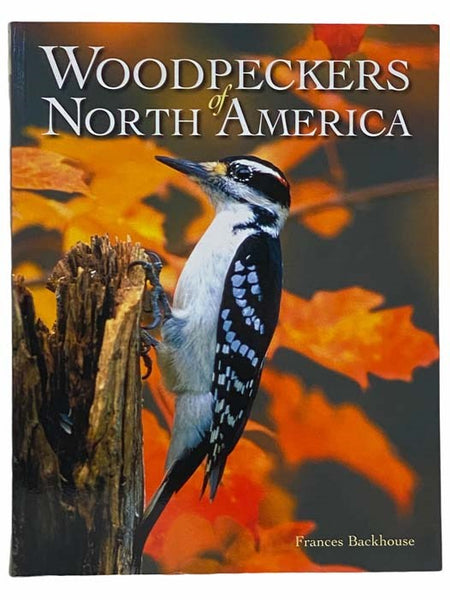Woodpeckers of North America