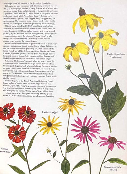 Flowers of the World