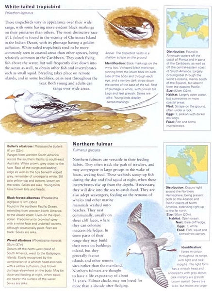 The Complete Illustrated Encyclopedia of Birds of the World: A Detailed Visual Reference Guide to 1600 Birds and Their Habitats, Shown in More than 1800 Pictures
