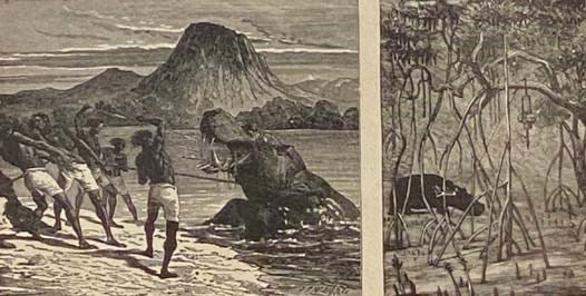 The Lives and Travels of Livingstone and Stanley, Covering Their Entire Career in Southern and Central Africa.