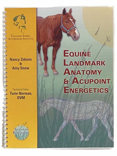 Equine Landmark Anatomy and Acupoint Energetics