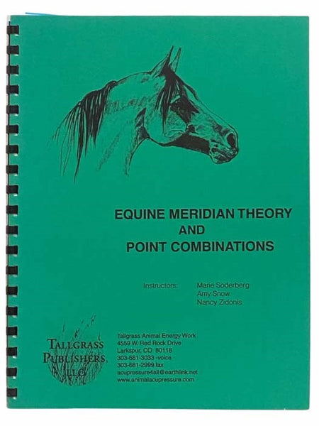 Equine Meridian Theory and Point Combinations