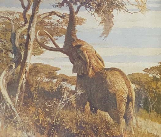 The Art of Bob Kuhn: Masters of the Wild