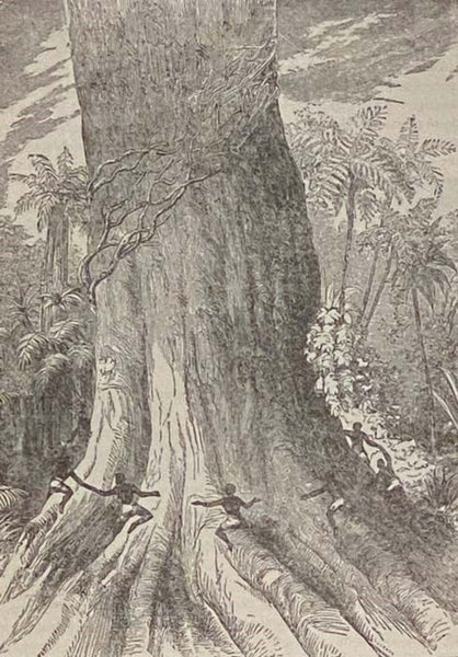 Wonders of the Tropics; or, Explorations and Adventures by Henry M. Stanley and Other World-Renowned Travelers, Containing Thrilling Accounts of Famous Expeditions, Miraculous Escapes, Wild Sports of the Jungle, and Plain, Curious Customs of Savage Races…