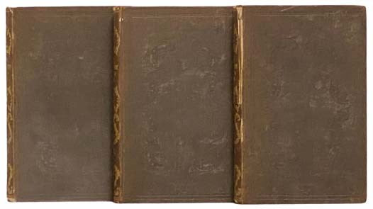 The English Boy at the Cape: An Anglo-African Story, in Three Volumes