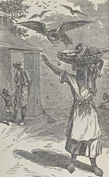 Bible Stories for Children, Consisting of "In the Beginning" and "The Promised King" (Two Volumes in One)