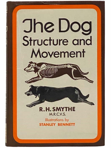 The Dog: Structure and Movement