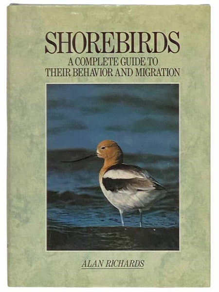Shorebirds: A Complete Guide to Their Behavior and Migration