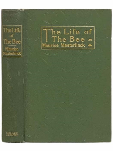 The Life of the Bee