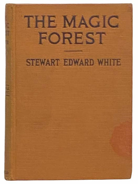 The Magic Forest: A Modern Fairy Story
