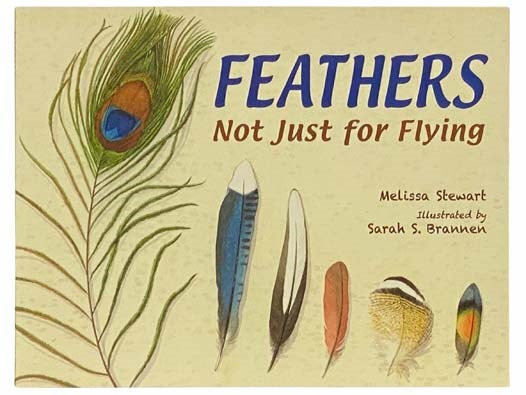 Feathers: Not Just for Flying